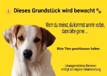Dieses Grundstück wird bewacht Hunde Schild smart kreativ schilder selbst gestalten