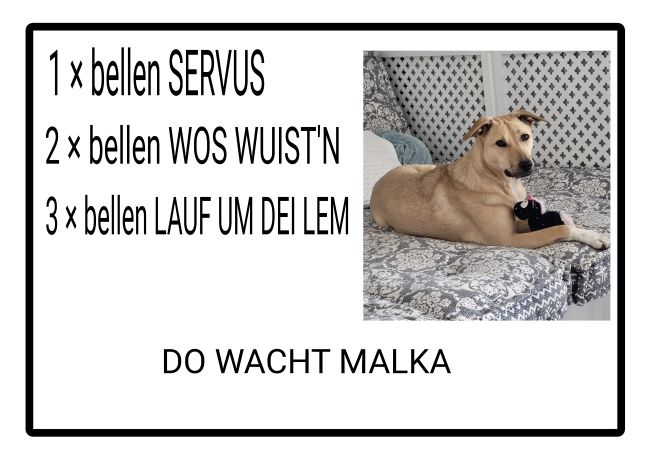 Do wacht Malka Hunde Schild auffallend nachdrücklich schilder selbst gestalten