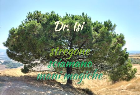 Dr. Isi Firma Schild smart bunt kreativ spritzig schilder selbst gestalten