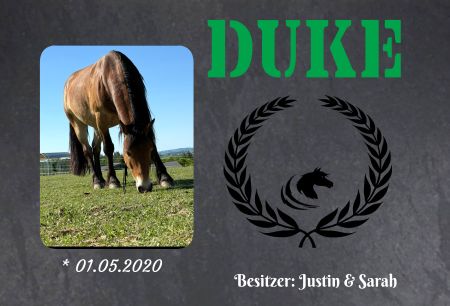 DUKE Pferde Schild smart kreativ spritzig schilder selbst gestalten