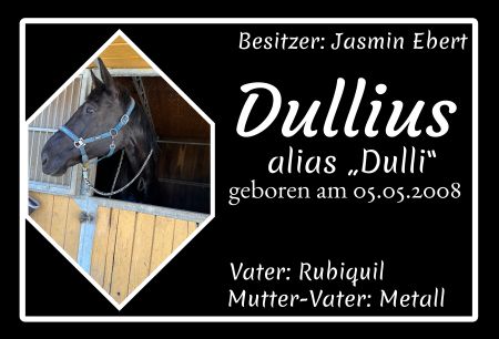 Dullius Pferde Schild smart kreativ spritzig auffallend schilder selbst gestalten