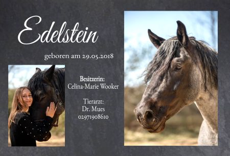 Edelstein Pferde Schild smart kreativ spritzig schilder selbst gestalten