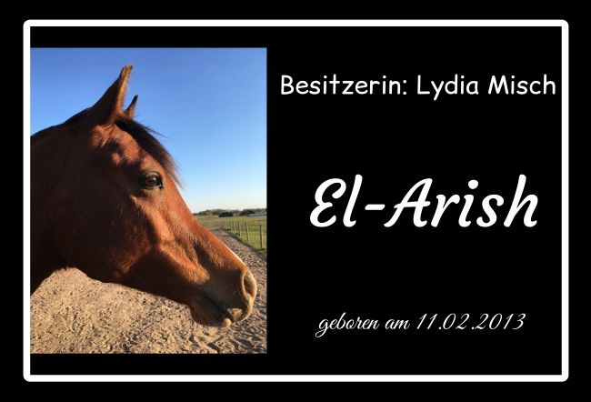 El-Arish Pferde Schild smart kreativ schilder selbst gestalten