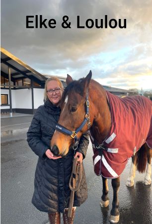 Elke & Loulou Pferde Schild bunt informativ auffallend schilder selbst gestalten