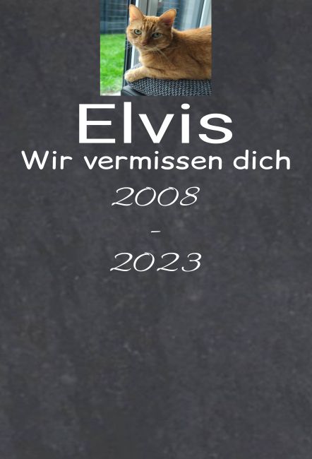 Elvis Gedenktafel Schild smart kreativ schilder selbst gestalten