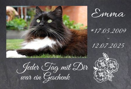 Emma Gedenktafel Schild informativ auffallend nachdrücklich schilder selbst gestalten