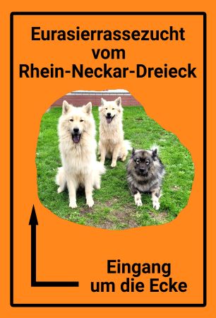 Eurasierrassenzucht Wegweiser Schild bunt kreativ informativ auffallend schilder selbst gestalten