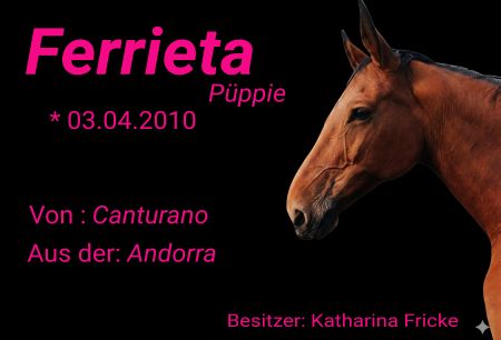 Ferrieta Pferde Schild bunt spritzig informativ auffallend schilder selbst gestalten