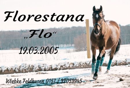 Florestana Pferde Schild smart spannend auffallend schilder selbst gestalten