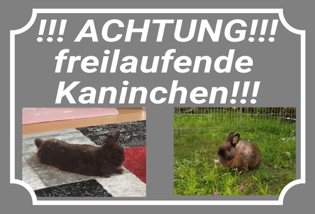 Freilaufende Kaninchen Tiere Schild smart spritzig informativ schilder selbst gestalten