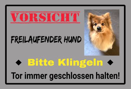 Freilaufender Hund Bitte klingeln Hunde Schild smart bunt kreativ spritzig schilder selbst gestalten