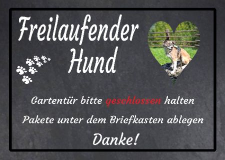 Freilaufender Hund Hunde Schild smart kreativ schilder selbst gestalten