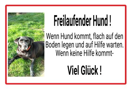 Freilaufender Hund! Hunde Schild spannend informativ auffallend schilder selbst gestalten