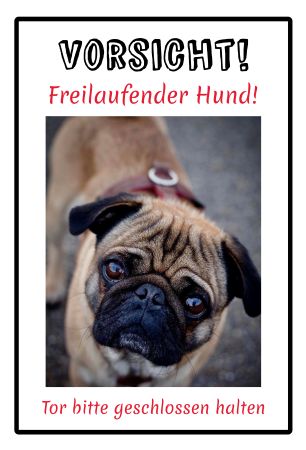 Freilaufender Hund! Hunde Schild smart spannend kreativ informativ auffallend schilder selbst gestalten