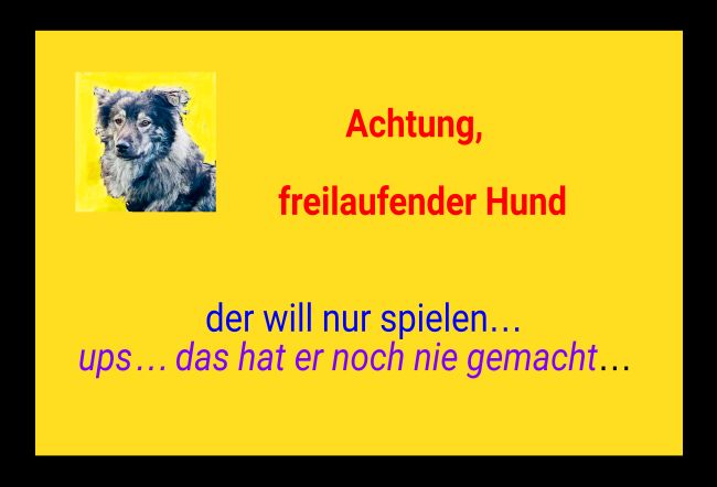 Freilaufender Hund Hunde Schild smart informativ schilder selbst gestalten