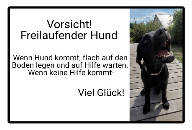 Freilaufender Hund Warnung-Zutrittverboten Schild smart informativ lustig schilder selbst gestalten