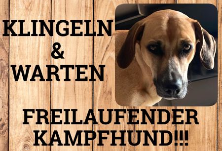 Freilaufender Kampfhund!!! Hunde Schild smart spannend kreativ informativ schilder selbst gestalten