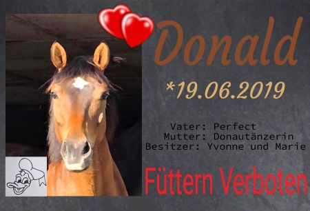 Füttern verboten Pferde Schild spannend kreativ informativ auffallend schilder selbst gestalten