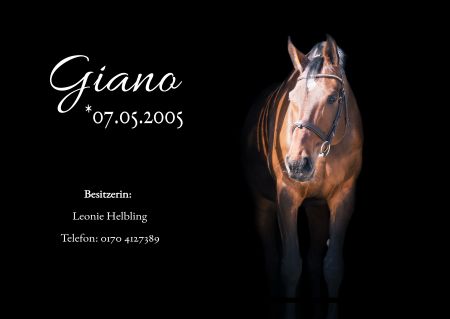 Giano Pferde Schild smart kreativ informativ schilder selbst gestalten