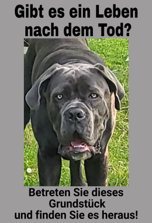 Gibt es ein Leben nach dem Tod? Hunde Schild smart spritzig informativ schilder selbst gestalten