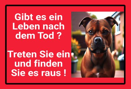 Gibt es ein Leben nach dem Tod? Hunde Schild smart spritzig informativ schilder selbst gestalten