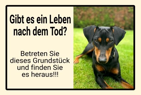 Gibt es ein Leben nach dem Tod? Hunde Schild smart bunt kreativ schilder selbst gestalten