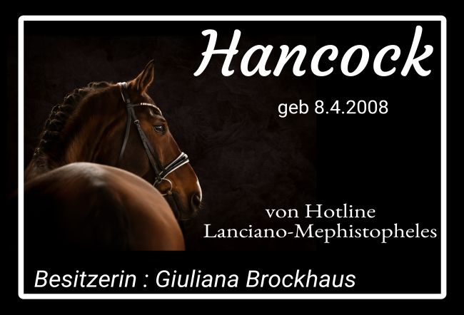 Hancock Pferde Schild smart kreativ spritzig informativ schilder selbst gestalten