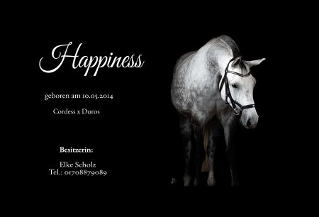 Happiness Pferde Schild spannend kreativ informativ schilder selbst gestalten