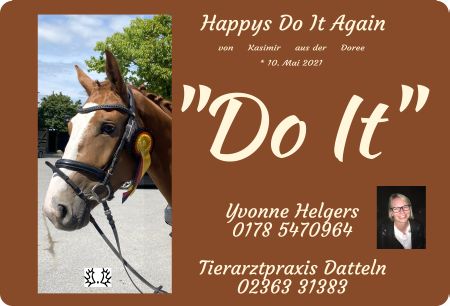 Happys Do It Again Pferde Schild smart bunt kreativ spritzig schilder selbst gestalten