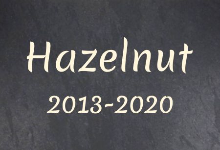 Hazelnut Hinweis Schild kreativ informativ schilder selbst gestalten