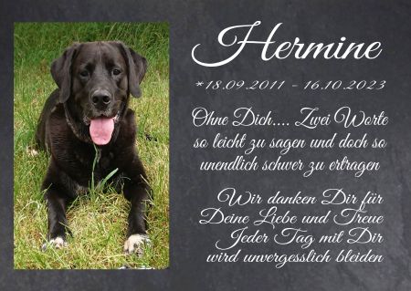 Hermine Hunde Schild smart informativ auffallend schilder selbst gestalten