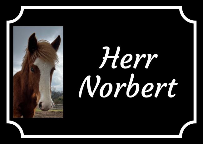 Herr Norbert Pferde Schild spannend spritzig schilder selbst gestalten