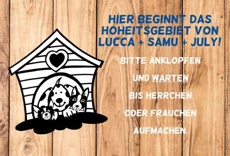 Hier beginnt das Hoheitsgebiet von Privat-Pakete Schild smart bunt kreativ spritzig schilder selbst gestalten