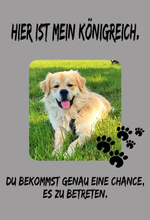 Hier ist mein Königreich Hunde Schild spannend kreativ spritzig auffallend schilder selbst gestalten