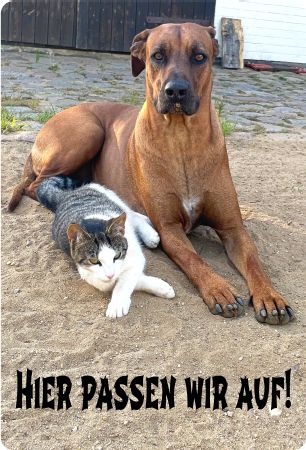 Hier passen wir auf! Hunde Schild bunt informativ auffallend nachdrücklich schilder selbst gestalten