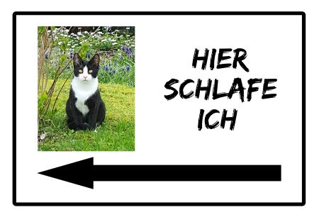 Hier schlafe ich Katzen Schild smart spritzig schilder selbst gestalten