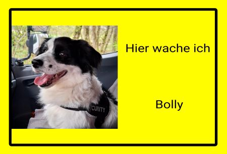 Hier wache ich Bolly Hunde Schild smart spritzig schilder selbst gestalten
