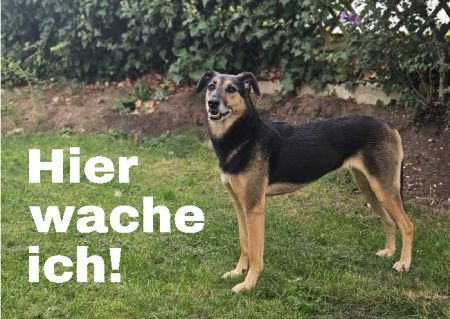 Hier wache ich! Hunde Schild smart schilder selbst gestalten