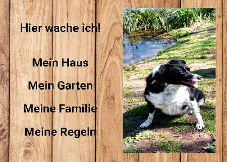 Hier wache ich! Hunde Schild smart bunt kreativ schilder selbst gestalten