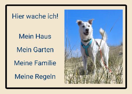 Hier wache ich! Hunde Schild spannend kreativ informativ auffallend schilder selbst gestalten