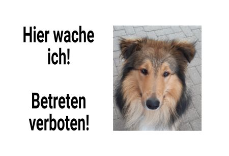 Hier wache ich Hunde Schild smart informativ auffallend schilder selbst gestalten