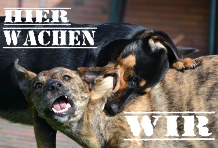 HIER WACHEN WIR Hunde Schild smart kreativ auffallend schilder selbst gestalten