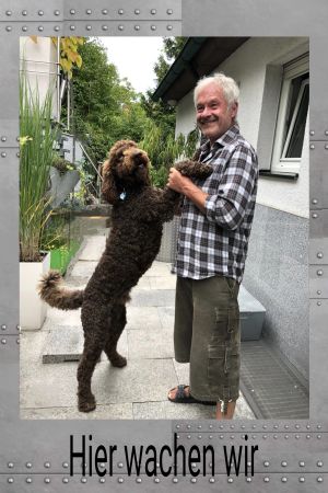 Hier wachen wir Hunde Schild smart spannend kreativ schilder selbst gestalten