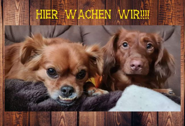 HIER WACHEN WIR!!!! Hunde Schild smart kreativ spritzig informativ auffallend schilder selbst gestalten