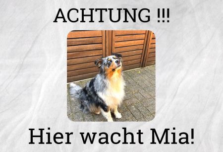 Hier wacht Mia! Hunde Schild smart bunt kreativ spritzig schilder selbst gestalten