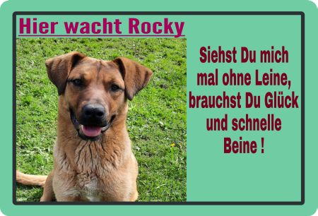 Hier wacht Rocky Hunde Schild kreativ spritzig auffallend schilder selbst gestalten