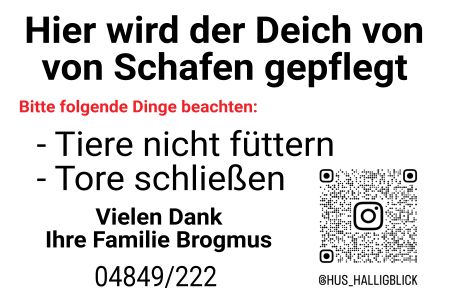 Hier wird der Deich von Schafen gepflegt Firma Schild kreativ spritzig informativ schilder selbst gestalten