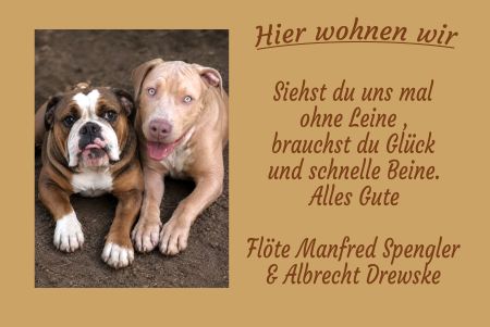 Hier wohnen wir Hunde Schild smart bunt kreativ schilder selbst gestalten