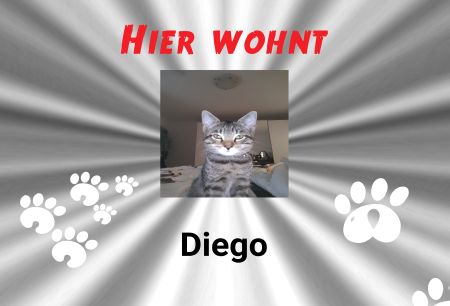 HIER WOHNT DIEGO Katzen Schild bunt kreativ spritzig informativ auffallend schilder selbst gestalten
