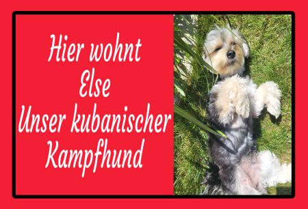 Hier wohnt Else Unser kubanischer Kampfhund Hunde Schild smart spannend kreativ spritzig schilder selbst gestalten